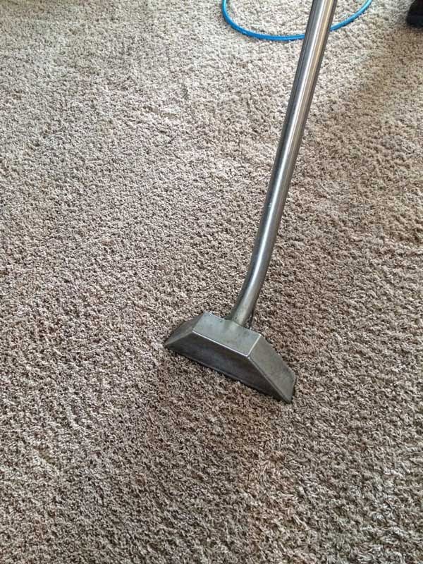 A close-up view of a carpet cleaning wand in action on a carpet by All Kleen Carpet Cleaning in Mountlake Terrace, WA.