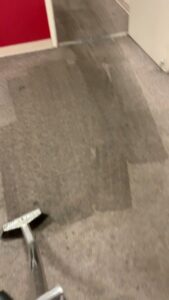 A carpet cleaning wand in action on a dark carpet, showing a clean path by Eagle 1 Carpet Cleaning in Reno, NV.