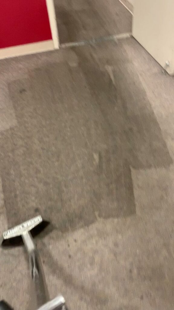 A carpet cleaning wand in action on a dark carpet, showing a clean path by Eagle 1 Carpet Cleaning in Reno, NV.