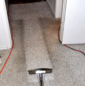 A carpet cleaning wand in action on a residential hallway carpet by Steam Me Up Carpet Cleaning in Dallas, TX.