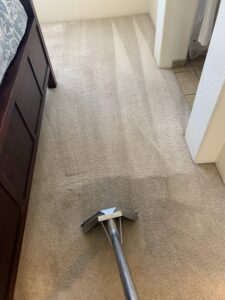 A carpet cleaning wand in action, showing the cleaning process and the difference it makes, by 303 Carpet Cleaning in Lakewood, CO