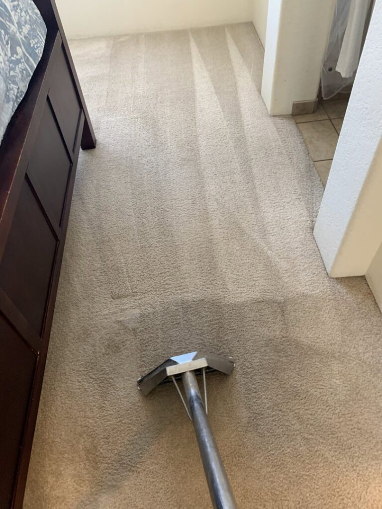 A carpet cleaning wand in action, showing the cleaning process and the difference it makes, by 303 Carpet Cleaning in Lakewood, CO