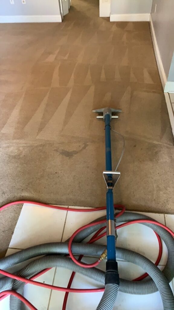 A professional carpet cleaning wand in action, deep cleaning a carpet by 843Steamers in Summerville, SC.