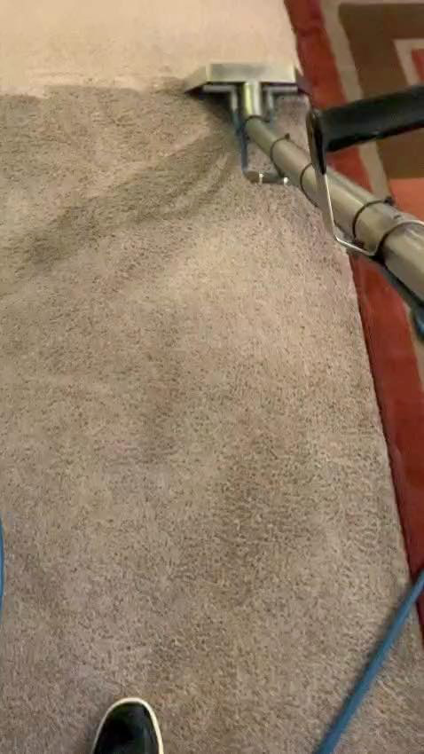 A professional carpet cleaning wand in action, deep cleaning a carpet by A&g's carpet cleaning service in Vancouver, WA.
