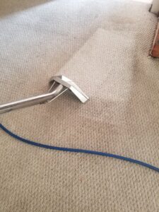 A professional carpet cleaning wand in action, deep cleaning a residential carpet by Aqualux Carpet Cleaning in Dallas, TX.