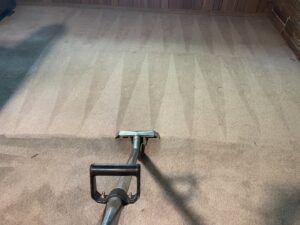 A carpet cleaning wand in action, creating fresh lines on a carpet, demonstrating work by Carpet PRO Cleaner in Cary, NC.