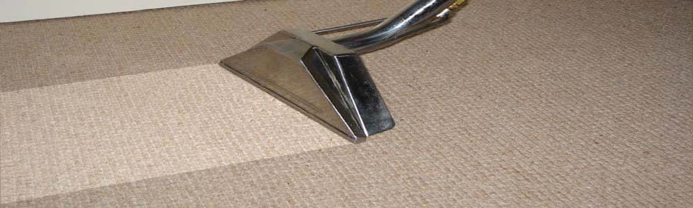 A carpet cleaning wand actively cleaning a carpet, showing a clean strip, by Dr. Scrub Carpet Cleaning in Houston, TX