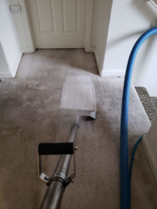 A carpet cleaning wand actively steaming and cleaning a dirty carpet at a Green Steam Carpet Clean job in Portland, OR.