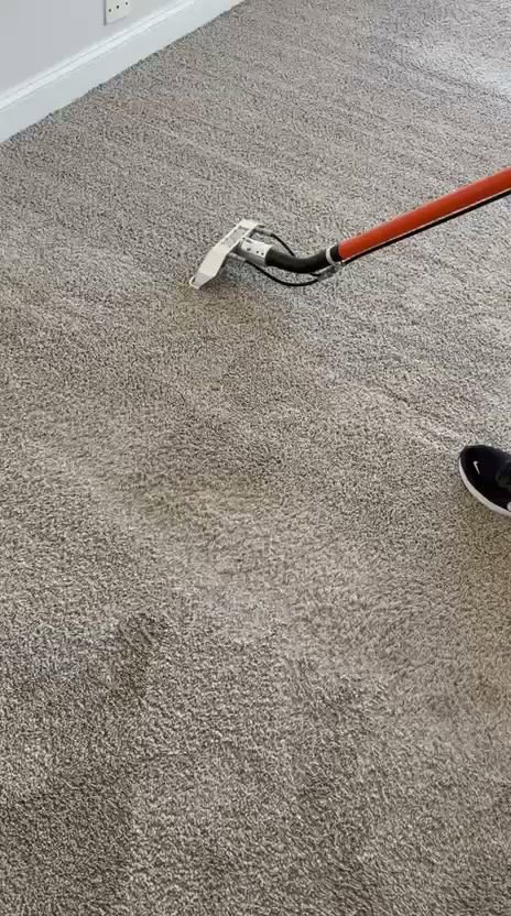 A professional carpet cleaning wand in action, deep cleaning a carpet by Carpet Cleaners Plus in Chicago, IL.