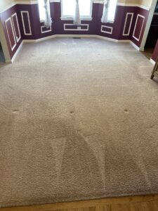 A professional carpet cleaning wand in action, cleaning a textured carpet by S&J Carpet Care in Oswego, IL
