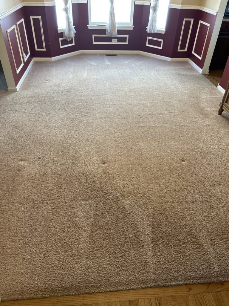 A professional carpet cleaning wand in action, cleaning a textured carpet by S&J Carpet Care in Oswego, IL