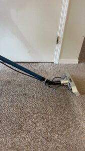 A professional carpet cleaning wand in action on a residential carpet by Tailor Maid Carpet Cleaning in Colorado Springs, CO.