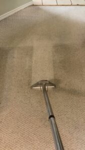 A carpet cleaning wand in action, showing a clean path on a carpet by TLC Carpet Cleaning, Inc. in Lewisville, TX.