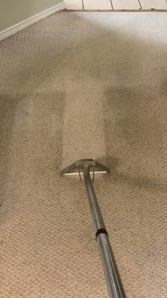 A carpet cleaning wand in action, showing a clean path on a carpet by TLC Carpet Cleaning, Inc. in Lewisville, TX.