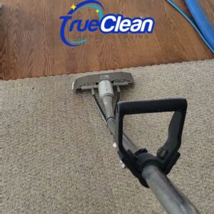 A professional carpet cleaning wand in action on a residential carpet by True Organic Carpet Cleaning in Charlotte, NC.