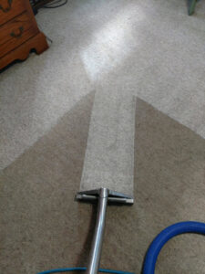 A professional carpet cleaning wand in action, showing a clean path on a carpet by Zerorez Wichita in Wichita, KS.