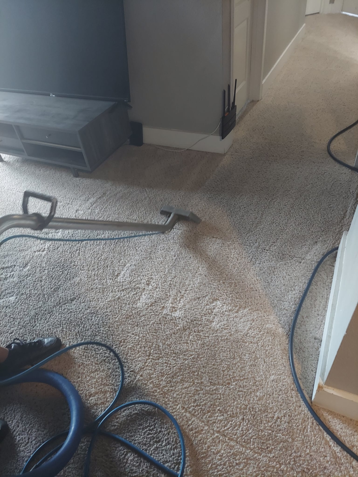 A carpet cleaning wand in a living room, showing a clean path on the carpet by Fusioncarpetcleaning in Fort Walton Beach, FL