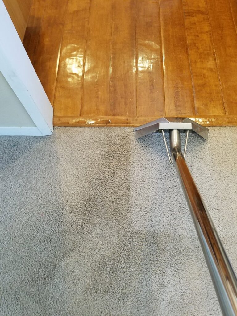 A carpet cleaning wand being used to clean a carpet, showing a clear difference, by Exceptional Carpet Care in Rochester, MN.