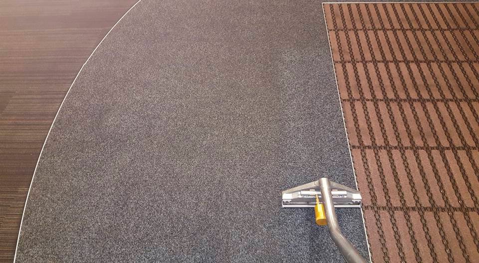 A carpet cleaning wand in action on a dark grey carpet, showing a clean path by Carpet Clean Team in Meridian, ID.