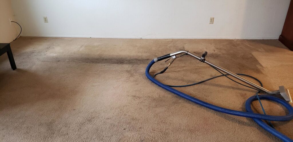 A carpet cleaning wand and hose on a dirty carpet showing a clean path by Eco Clean Carpet and Tile Care in Rocklin, CA