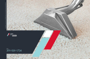 A professional carpet cleaning wand being used on a light-colored carpet by Hippo Cleaning Services in Rockville, MD.