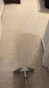 A carpet cleaning wand on a light-colored carpet, showing a clean path from Kung Fu Carpets and Cleaning Co. in Meridian, ID.