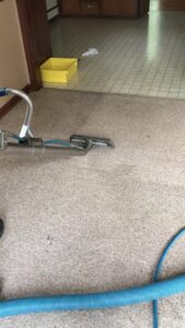 A professional carpet cleaning wand in action on a light-colored carpet by Monarch Cleaning Solutions in Parkville, MO