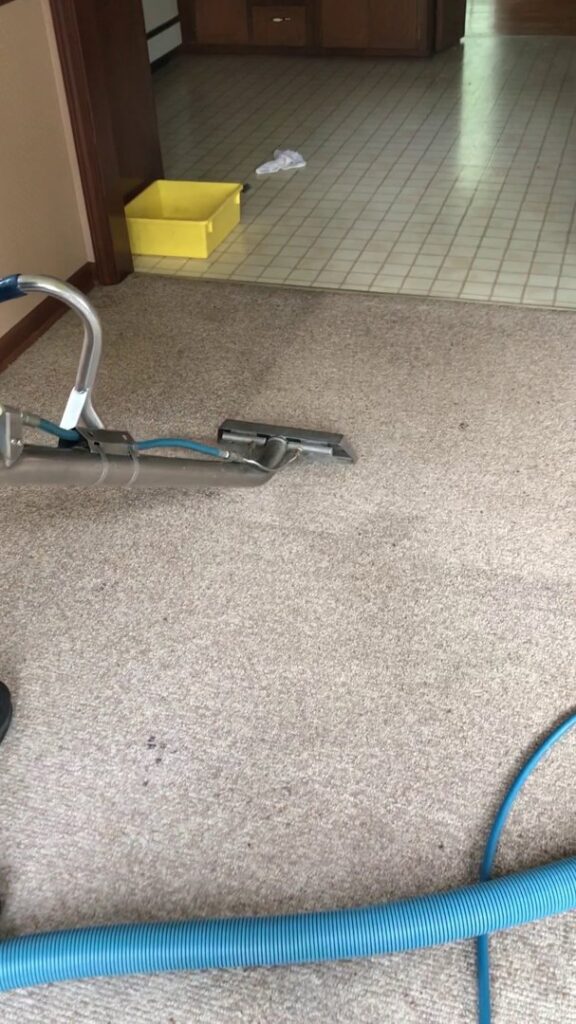 A professional carpet cleaning wand in action on a light-colored carpet by Monarch Cleaning Solutions in Parkville, MO