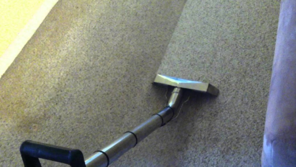 A carpet cleaning wand demonstrating a clear before and after cleaning line by Hillsboro Carpet Cleaning in Hillsboro, OR.