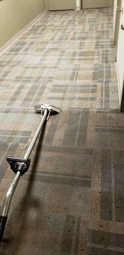 A carpet cleaning wand on a patterned carpet, clearly showing the difference between cleaned and uncleaned areas by Fantastic Carpet Cleaning NYC in Ridgewood, NY