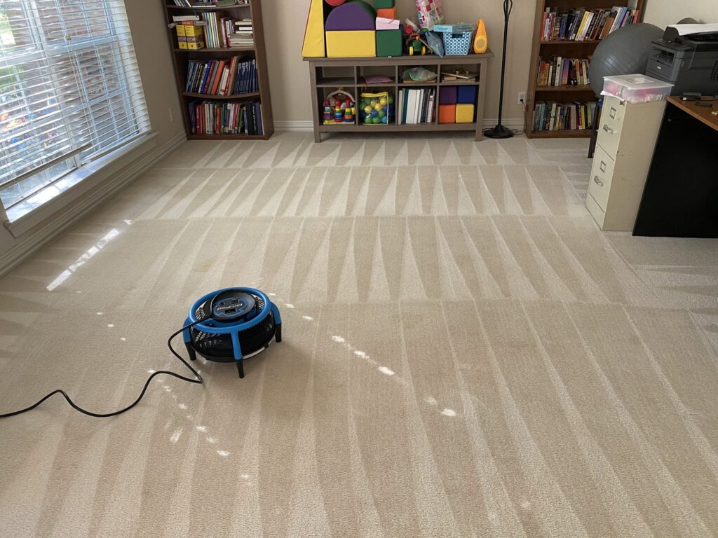 A freshly cleaned carpet with a drying fan in a room by Stain Punishers Carpet Cleaning in Plano, TX.
