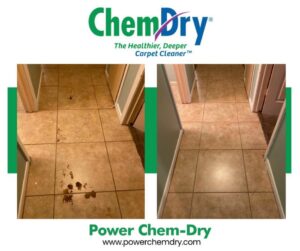 A professional carpet cleaner using a Chem-Dry machine on an area rug with a dog nearby at H-Town Chem-Dry in Spring, TX
