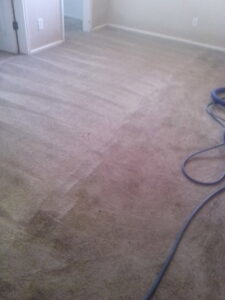 A carpet undergoing deep cleaning, with a clear line showing the cleaned and uncleaned sections, by A Copesetic Carpet, Upholstery, Tile & Grout Cleaner in Mesa, AZ