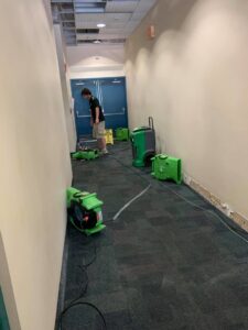 SERVPRO of Tallahassee technicians using carpet drying equipment in a commercial hallway in Tallahassee, FL