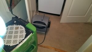Carpet drying equipment, including an air mover, used for water restoration by Tex A Clean Carpet Care in League City, TX.
