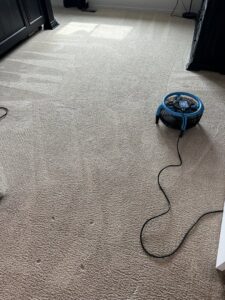 A carpeted room with a fan assisting in drying after cleaning by Kung Fu Carpets and Cleaning Co., Meridian, ID.