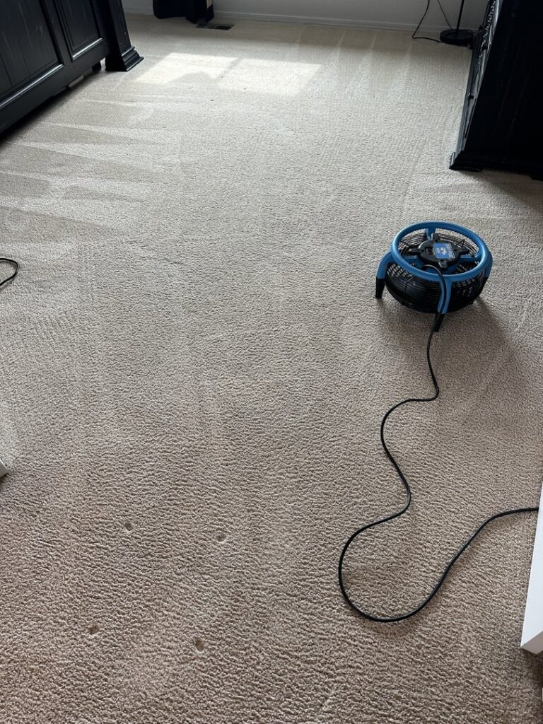 A carpeted room with a fan assisting in drying after cleaning by Kung Fu Carpets and Cleaning Co., Meridian, ID.