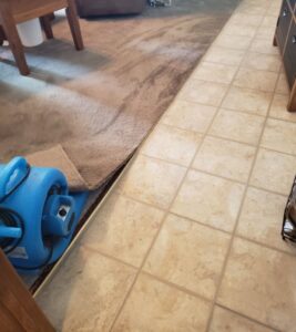 A fan drying a carpet after cleaning or water restoration by Jake's Steamer the Carpet Cleaner in Seminole, TX