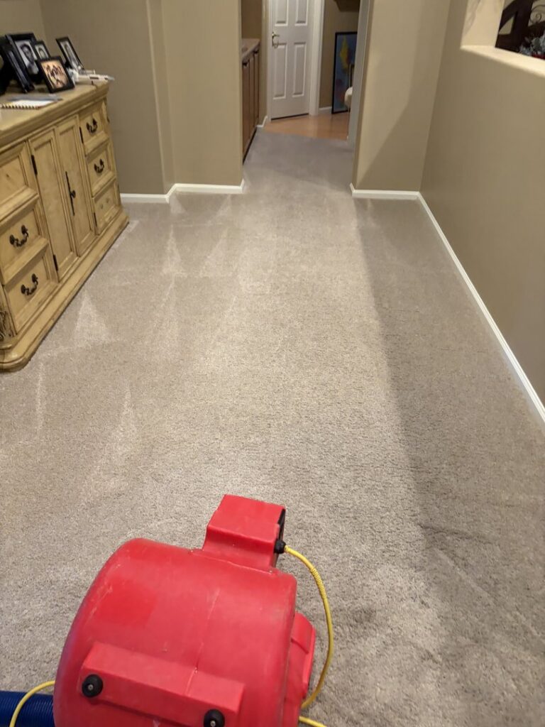 A red air mover drying a freshly cleaned carpet in a hallway by Easy Clean Carpet Care in Citrus Heights, CA