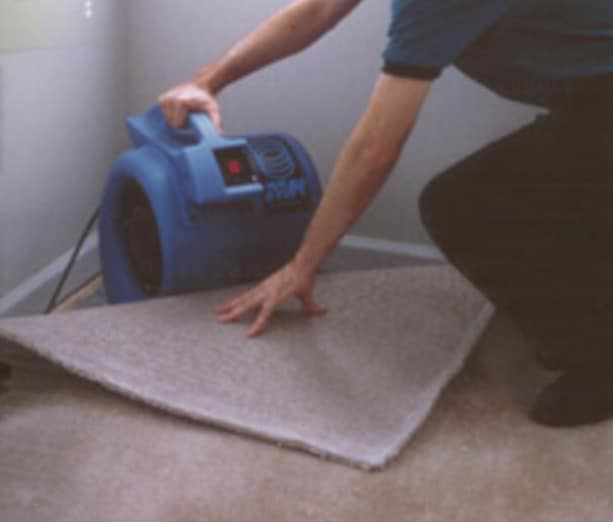A professional adjusting carpet while using an air mover for drying services by Promarc Carpet Care in Pine Bluff, AR.