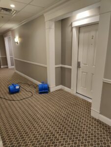 Two blue air movers drying a patterned hallway carpet after cleaning by Get Green Carpet Cleaning CT in West Hartford, CT.
