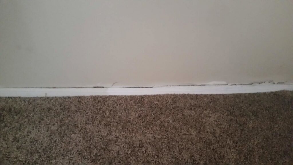 Close-up of carpet edge damage along a wall, indicating potential repair work by Apex Carpet Cleaning & Flood Restoration LLC, Phoenix, AZ