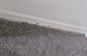 Detailed view of a grey carpet installation edge against a white baseboard by Carpet Cabin in Fort Smith, AR.
