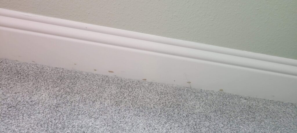Close-up of a neatly installed carpet edge along a baseboard by Peek's Floor Co. in Dallas, TX.