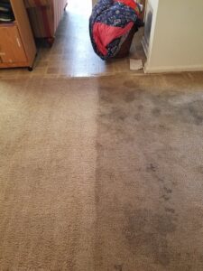 A carpet showing a clear before and after, half cleaned by Affordable carpet cleaning CO LLC in Montgomery, AL.