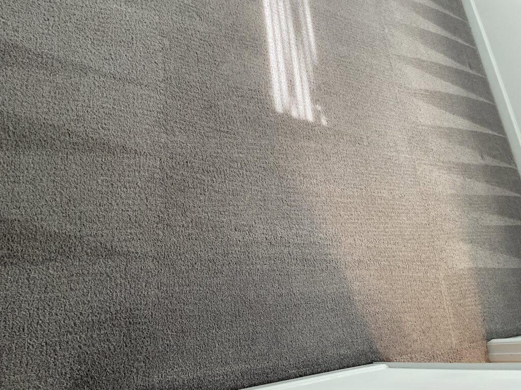 A carpeted floor showing a clear division between dirty and freshly cleaned sections by BEST Professionals Cleaning, LLC in Lancaster, PA