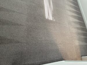 A carpeted floor showing a clear division between dirty and freshly cleaned sections by BEST Professionals Cleaning, LLC in Lancaster, PA