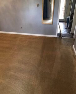 A carpet that is half cleaned, demonstrating the cleaning progress by Wildcat Carpet Cleaning in Nicholasville, KY.