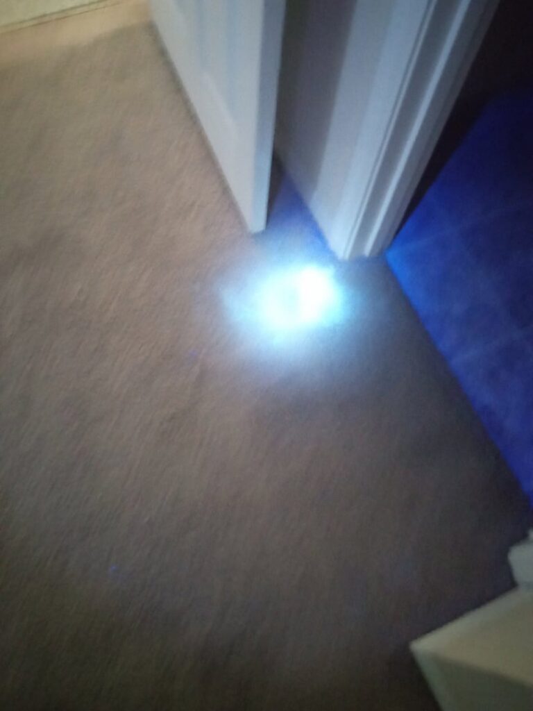 A carpet being inspected with a UV light to detect hidden stains or pet odors by CAPRI Restoration Services INC in Chula Vista, CA.