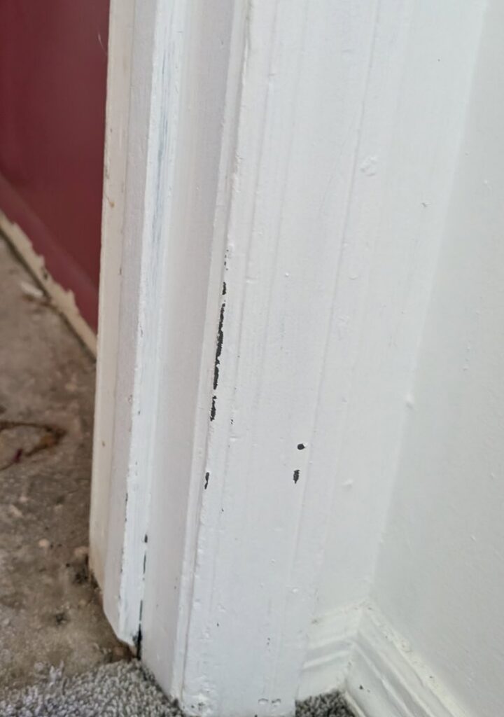 A close-up of a grey carpet installation at the base of a white door frame by Carpet Cabin in Fort Smith, AR.